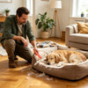 Carpet Rake For Pet Hair Removal