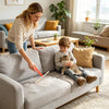 Carpet Rake For Pet Hair Removal